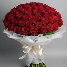 Букет 101 Красная роза Блэк Мэджик #REPLACE_PRED# Лапино