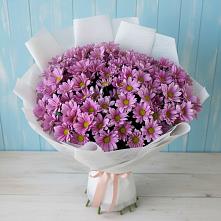 Букет цветов из:  Хризантемы #REPLACE_PRED# Лапино