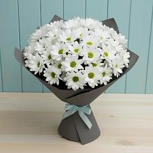 Букет цветов из:  Хризантемы в Лапино