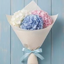 Букет цветов из:  Гортензия в Лапино