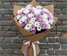 Букет цветов из:  Хризантемы в Лапино