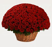 Премиум букет из: Розы #REPLACE_PRED# Лапино