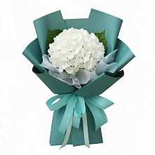Букет цветов из:  Гортензия в Лапино